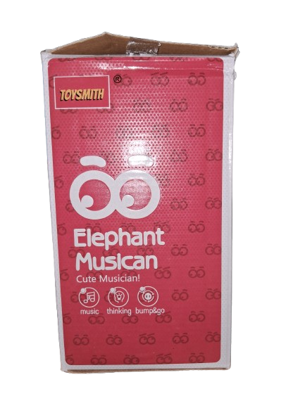 Elephant Musician