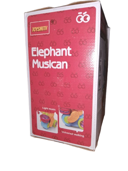 Elephant Musician
