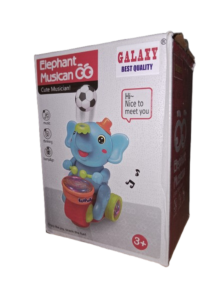 Elephant Musician