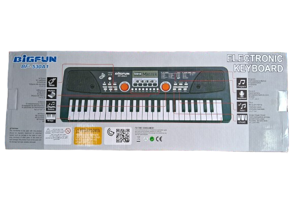 🎹 Bigfun Musical Keyboard with Microphone